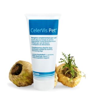 CelerVis Energiepaste 150 g